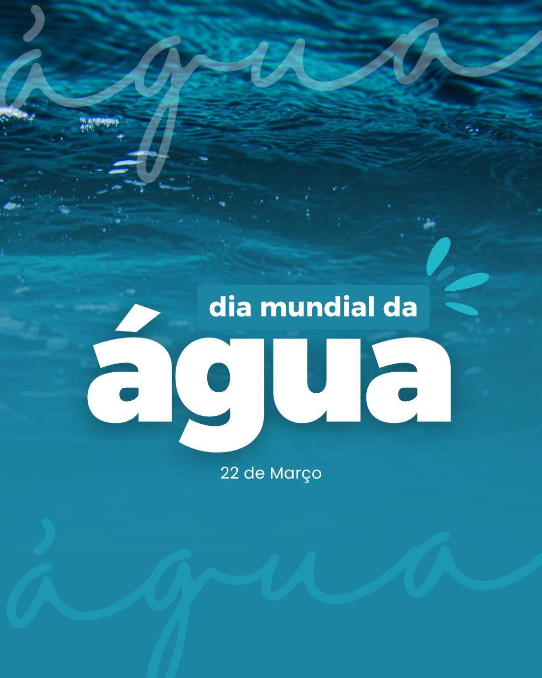 Dia Mundial da Água